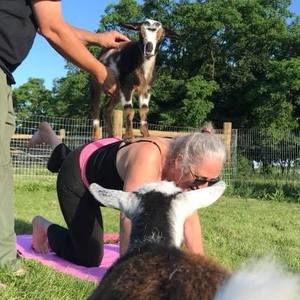 Meet your Posher, Ruth